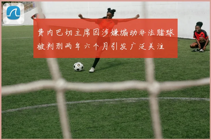 费内巴切主席因涉嫌煽动非法赌球被判刑两年六个月引发广泛关注